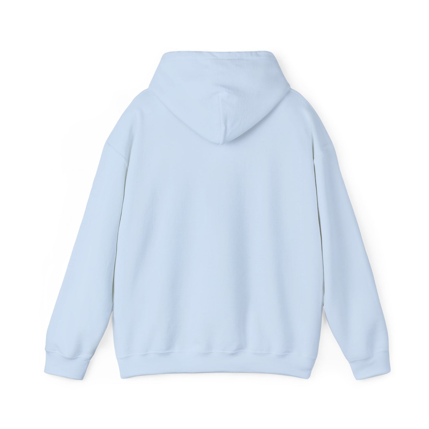 Broad Creek Sea Turtle Hoodie